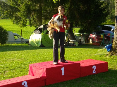 de bassompierre - Agility : bravo aux résultats des shelties de Bassompierre