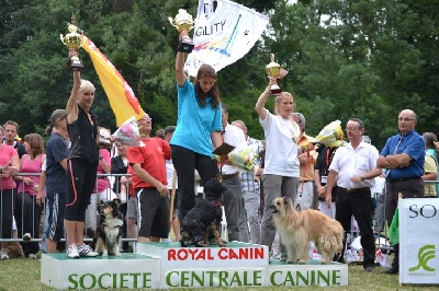 de bassompierre - BEA ET REAL, UNE EQUIPE DE CHOC